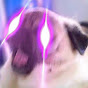 ninjaqwe
