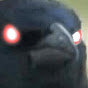 Rhaggy