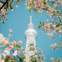 Japanese capsules