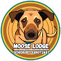 Moose Lodge Senior Pet Sanctuary