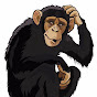ArtChimp