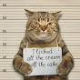 Cat Funny Time