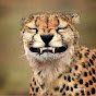 Laugh or Pass