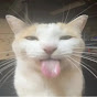 Wolkie