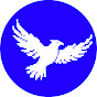 Birds of War