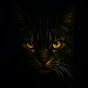 Noctawild