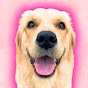 Easy_thegolden