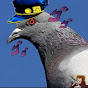 Pigeon guy