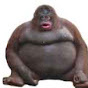 Bob