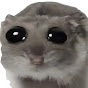 hamsterbby