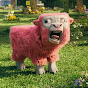 Sheep Challenge