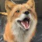 Flaming_Fox07
