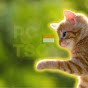 picatssso_id