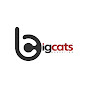 BigCats Pvt. Ltd