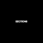 Section8