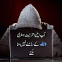 Peaceful Islam 313