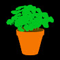 Basil