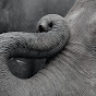 Elephant Pass