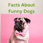 Facts About Funny Dogs