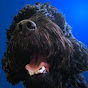RexitoBonito