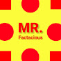 Mr Factacious