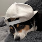 Stinkrot