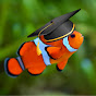 Fish's Game Guides