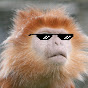 Dan Dingle