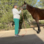 د محمد السيد استشارى طب وجراحة الخيل