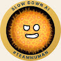 SolarBalls