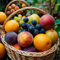 Fruitful Journeys