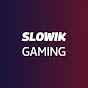 Slowik Gaming