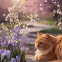 AdventurePaws