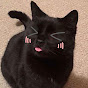 cinna 