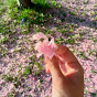 ICYCLOVE