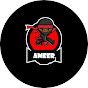 Ameer