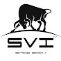 SVI Engineering