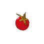 Mini tomate