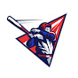 Purely Baseball