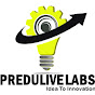 Predulive Labs
