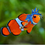 DatGamerFish