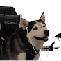 scooby_