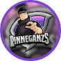 Rinneganzs