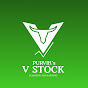 Purvik's Vstock Learning