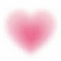 Piink 핑크