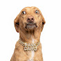 Rank Dawg