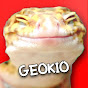 Geokio