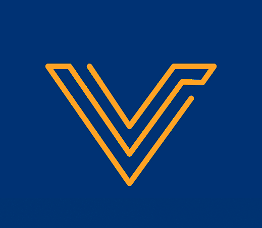 ViralVids LLC